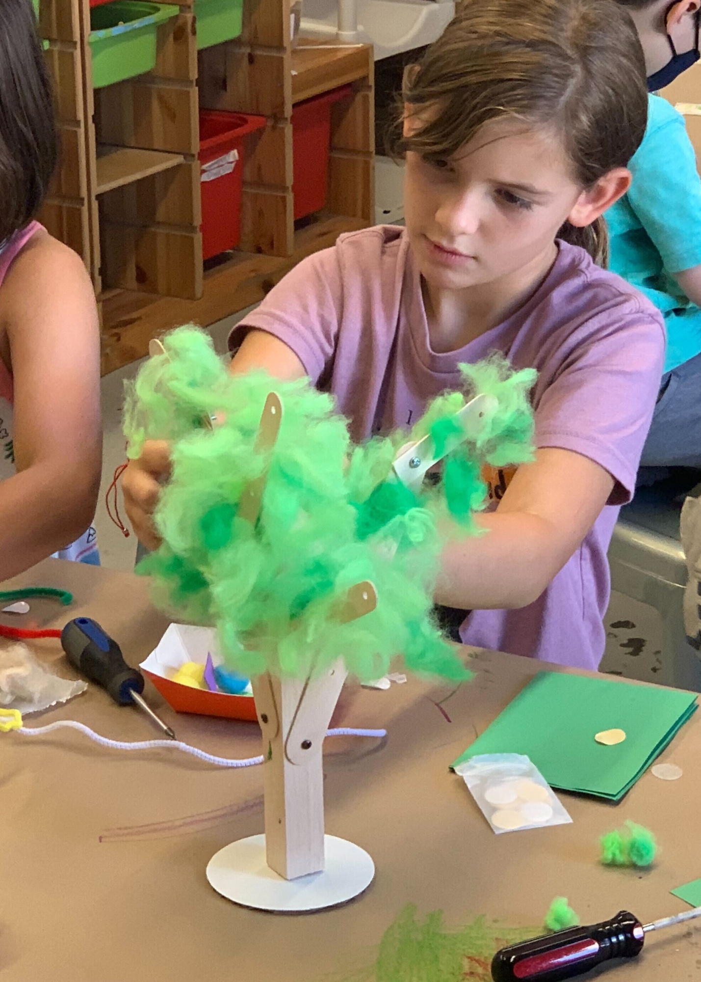 Student building a tree Photo of student building a robot