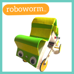 Photograph of a Roboworm robot