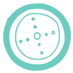 Illustration of a teal wheel