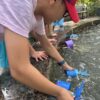 Floating robots at Villanova University water fountain